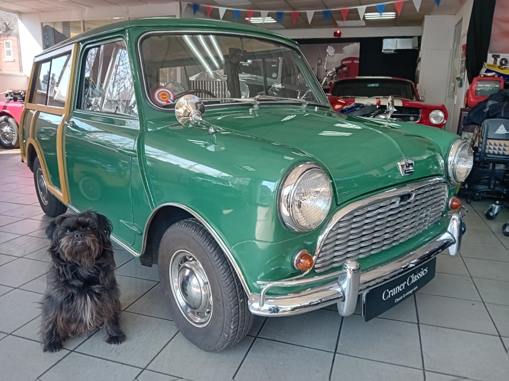 Mini countryman 36