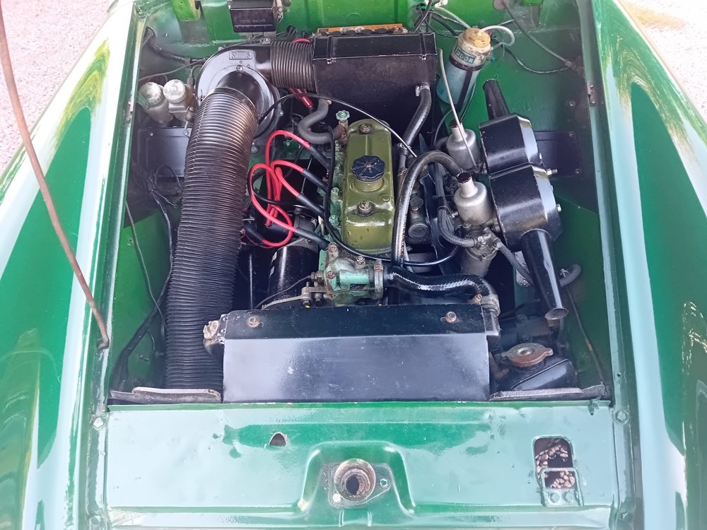 Healey s 1