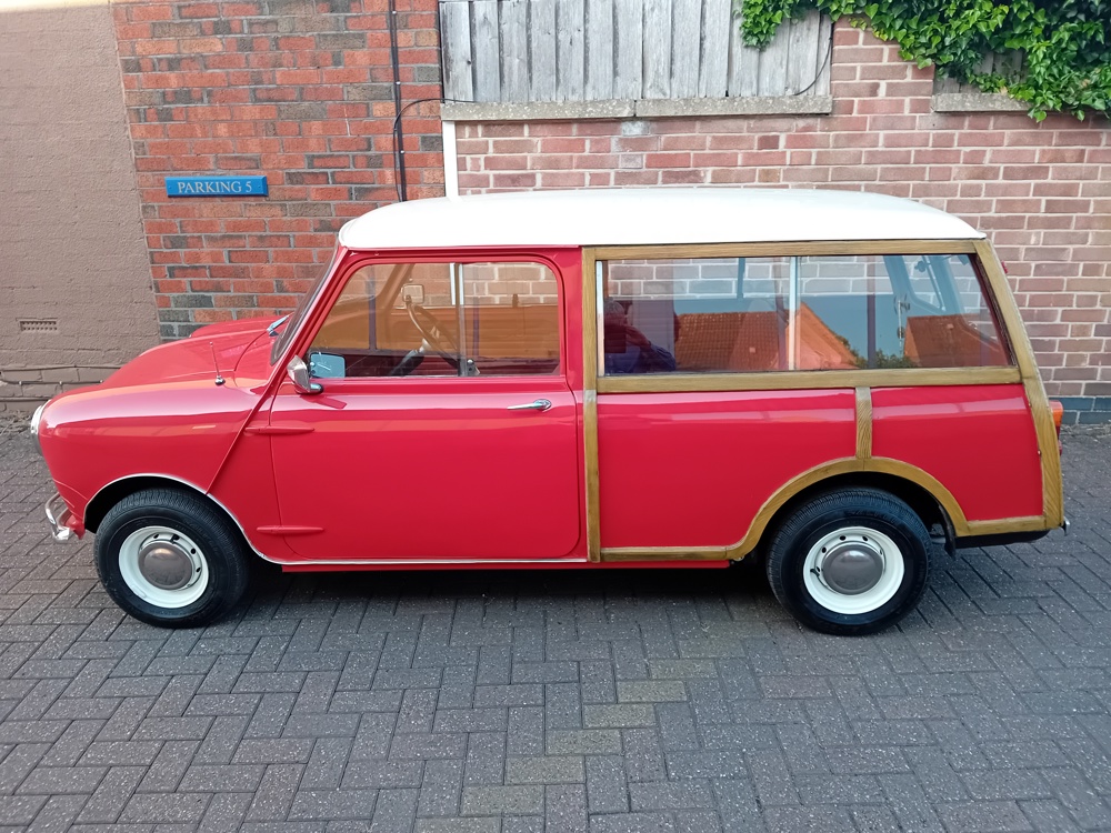 Red woody 2