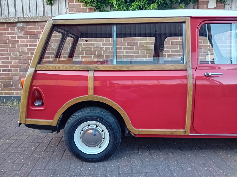 Red woody 5