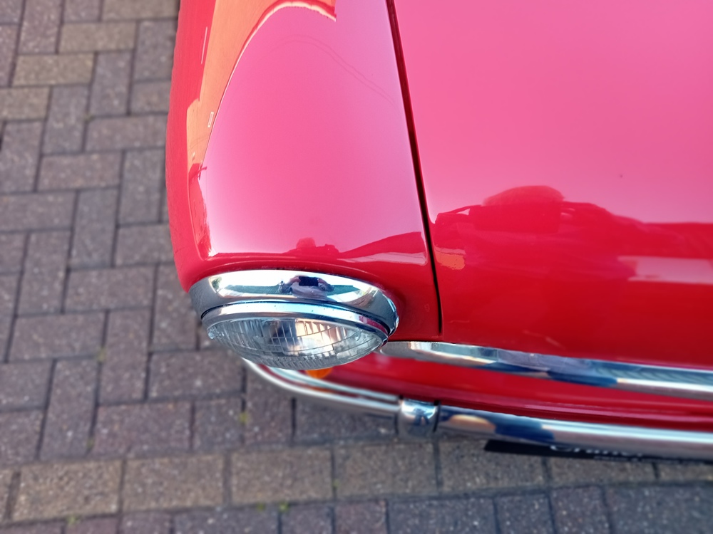 Red woody 8