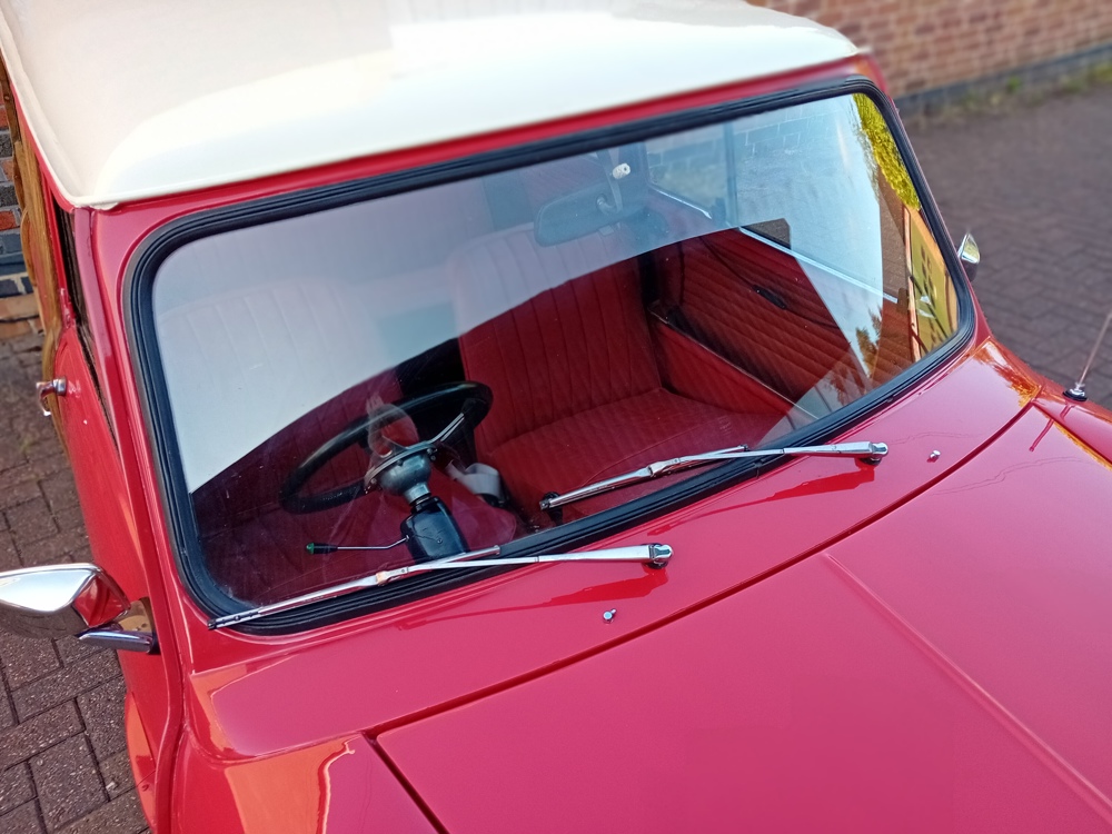 Red woody 8