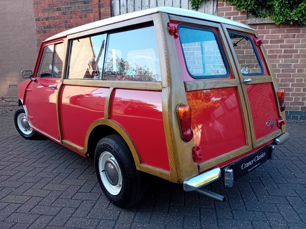 Red woody 11