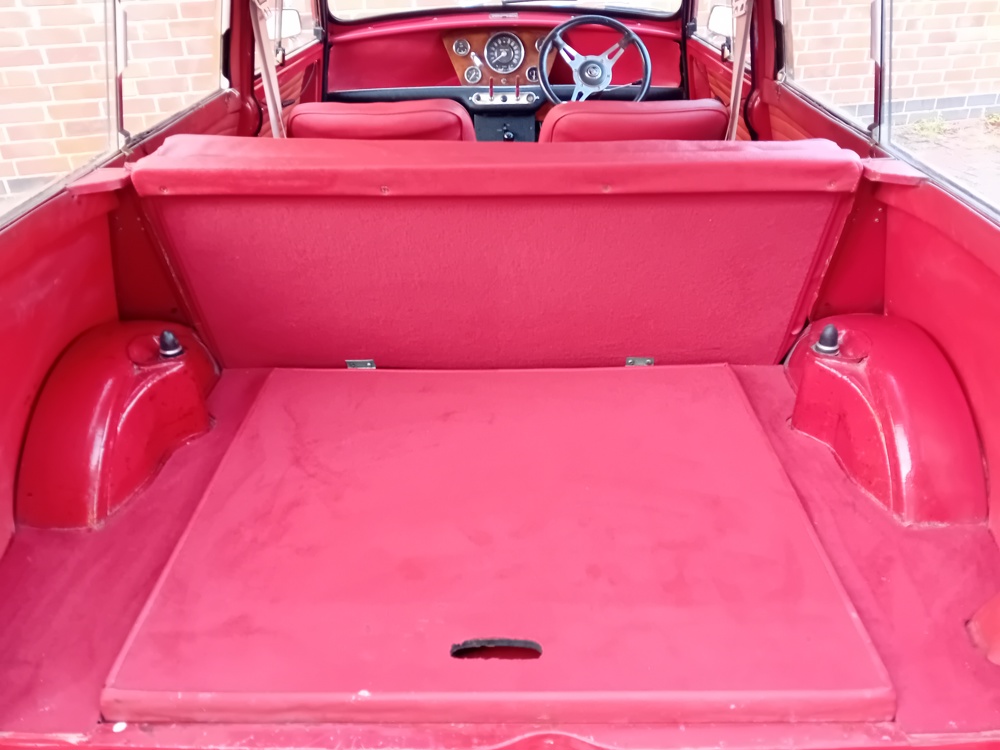 Red woody 13