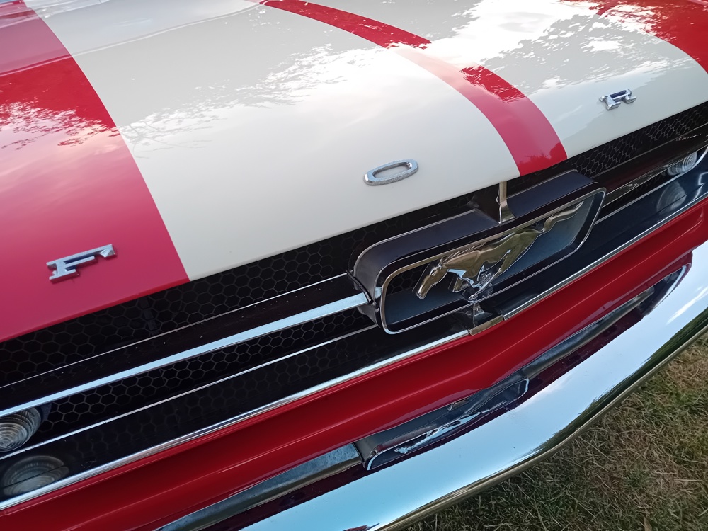 mustang 2