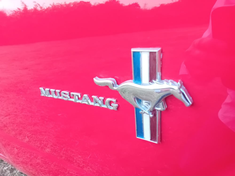 mustang 4