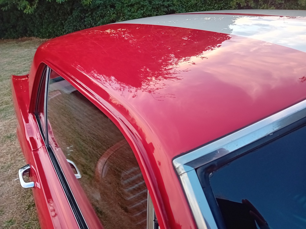 mustang 6