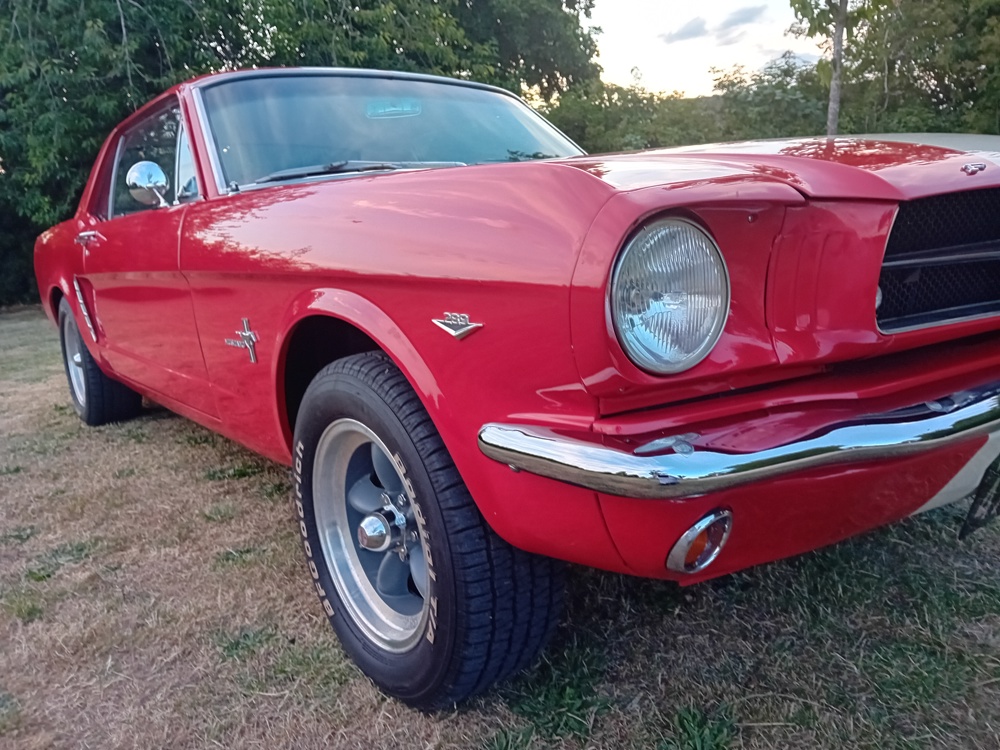 mustang 10