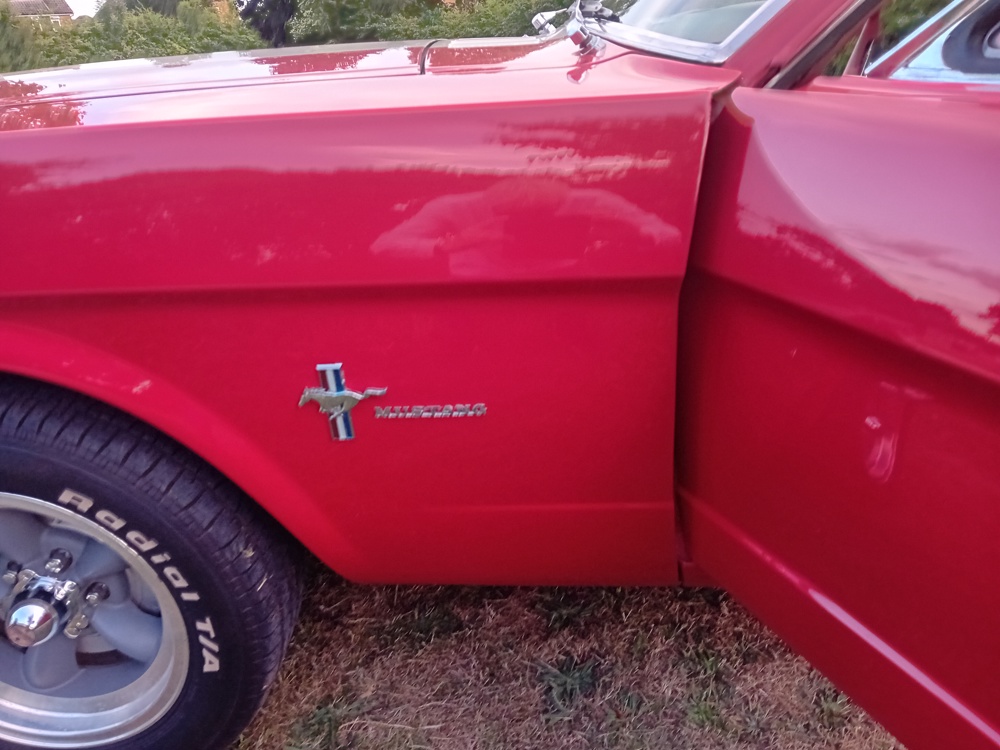 mustang 11