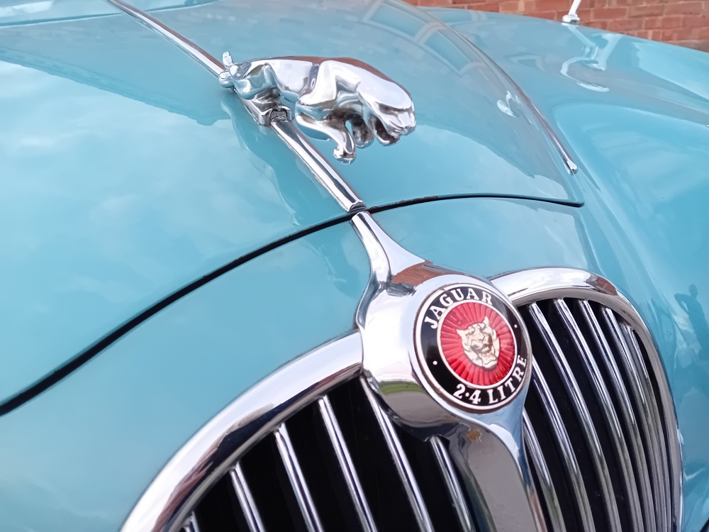 1969 Jag 11