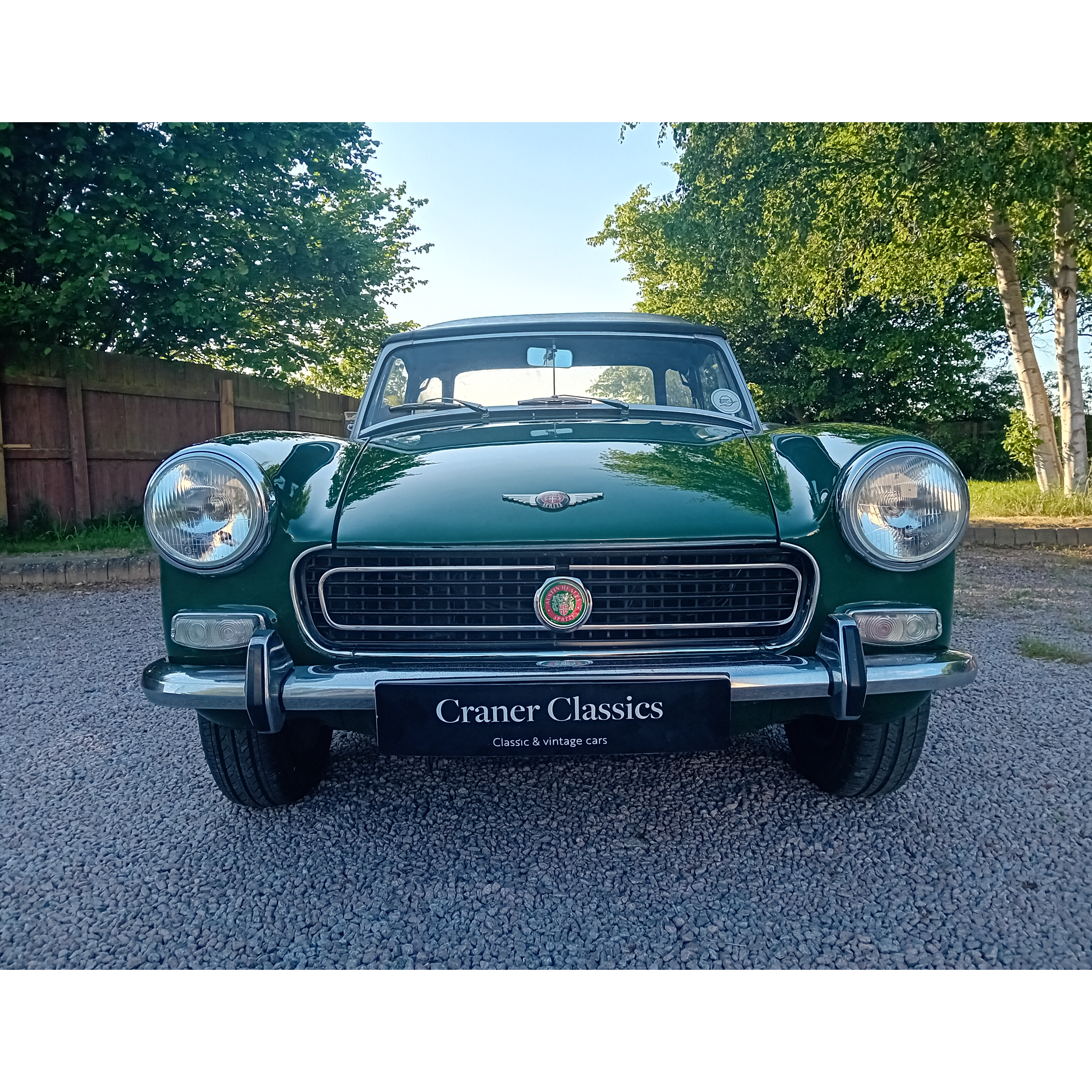 Healey s 3