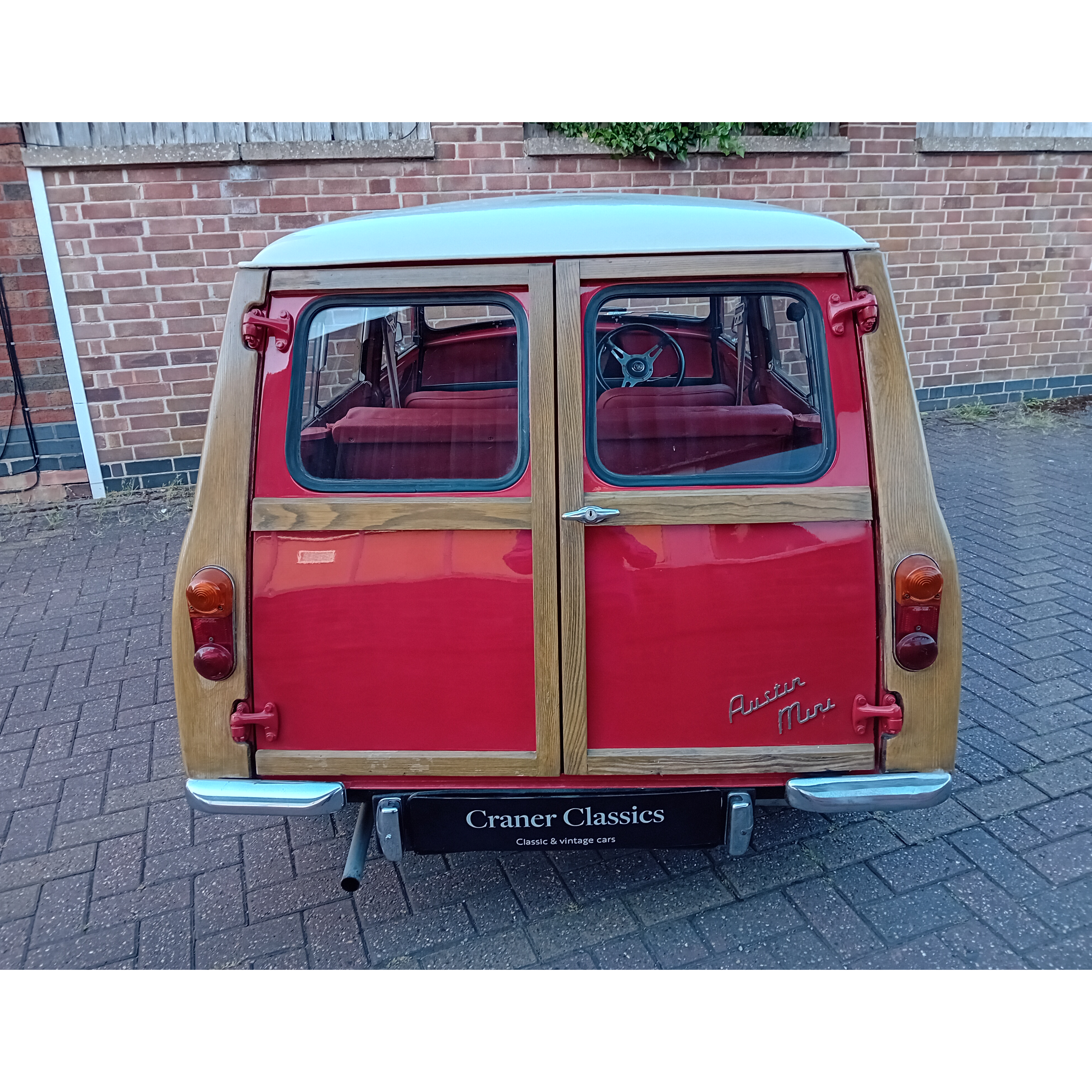 Red woody 12