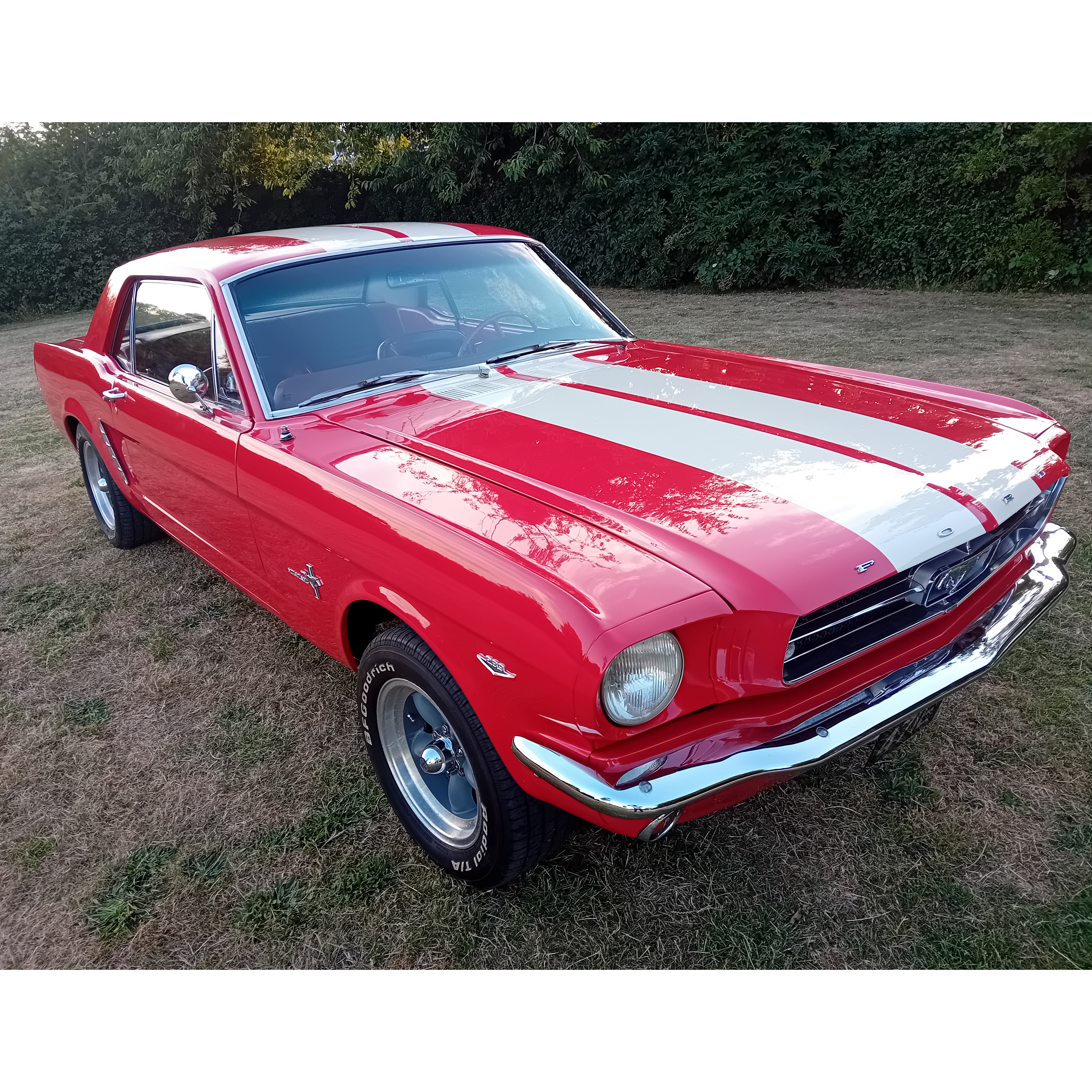 1964 Ford Mustang
