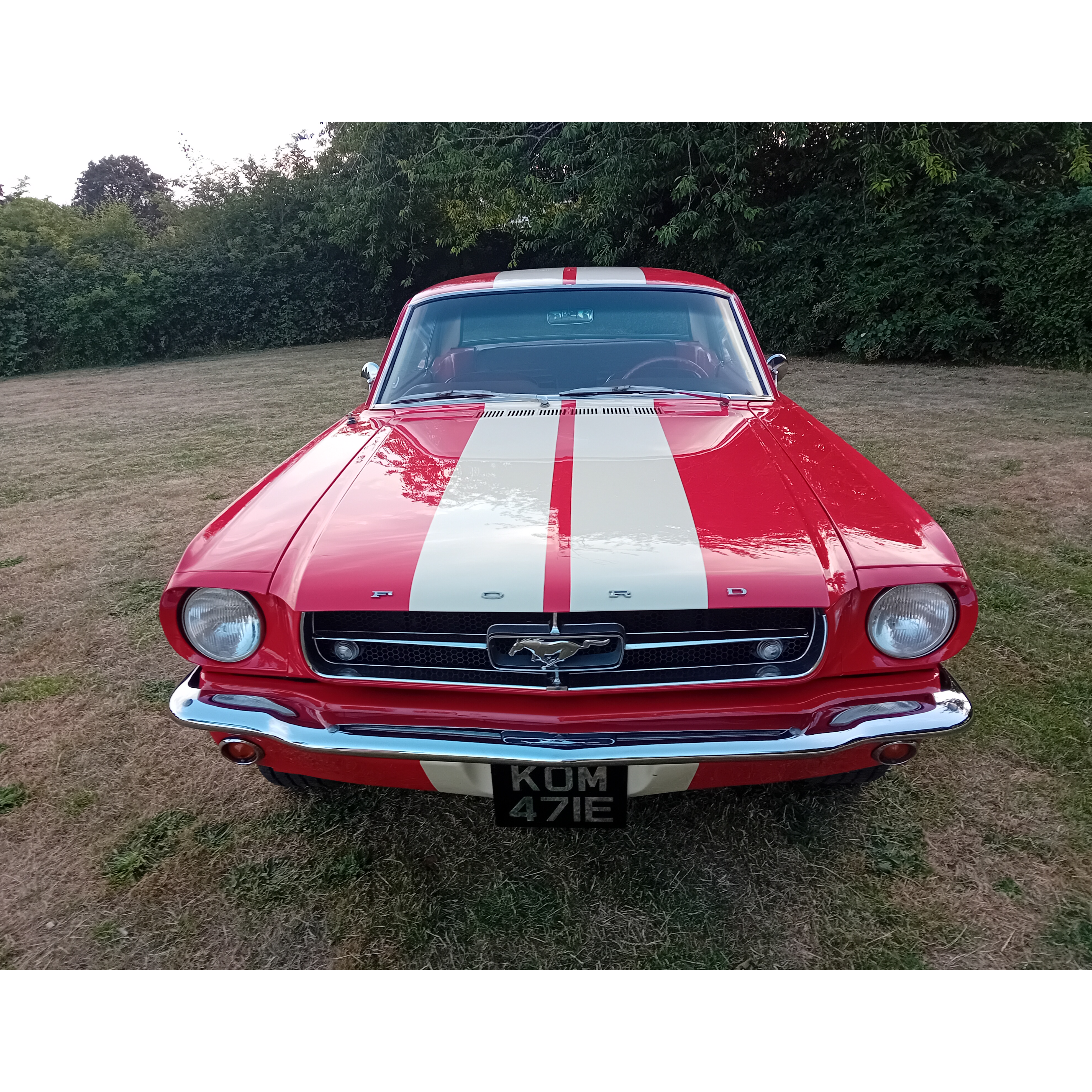 mustang 1