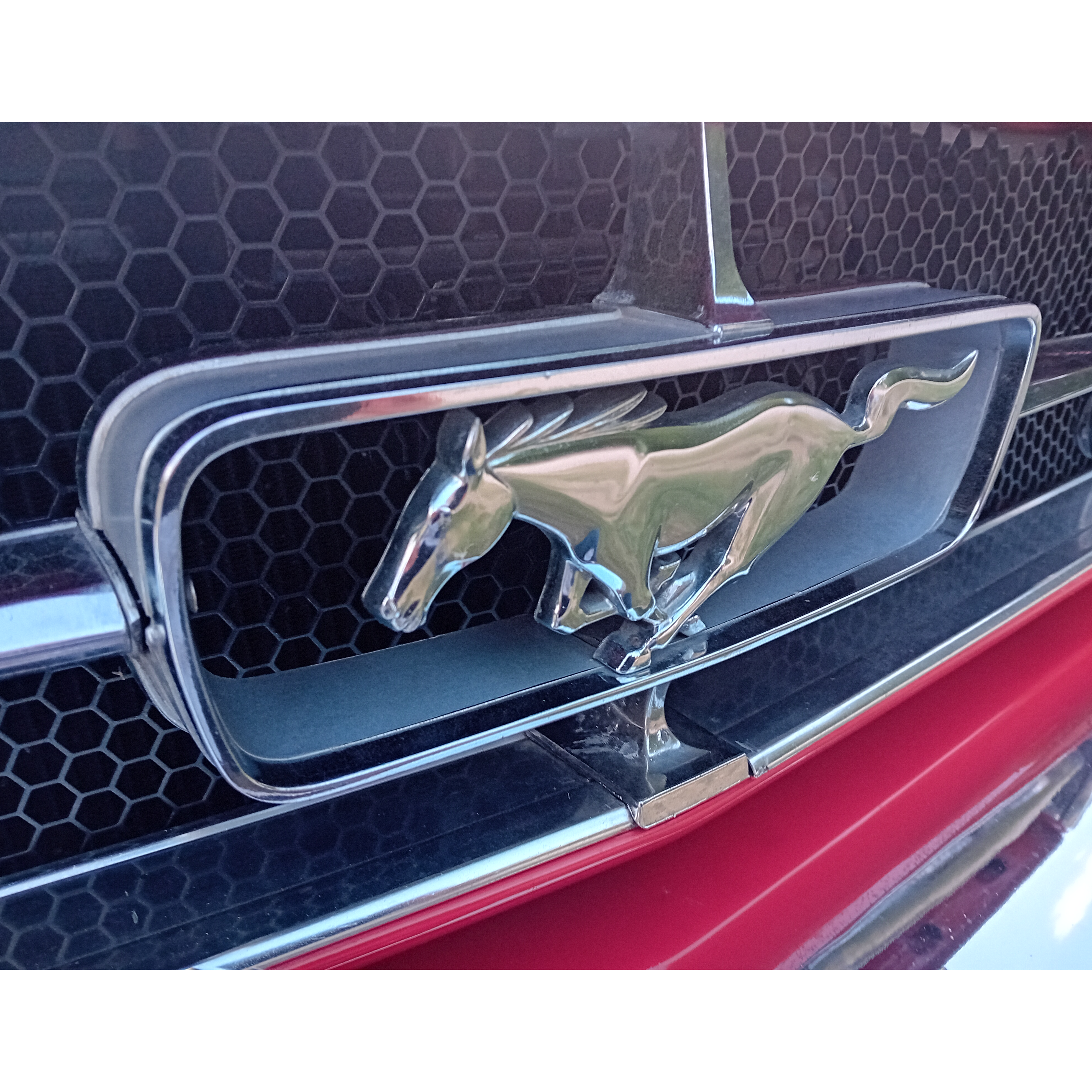 mustang 3