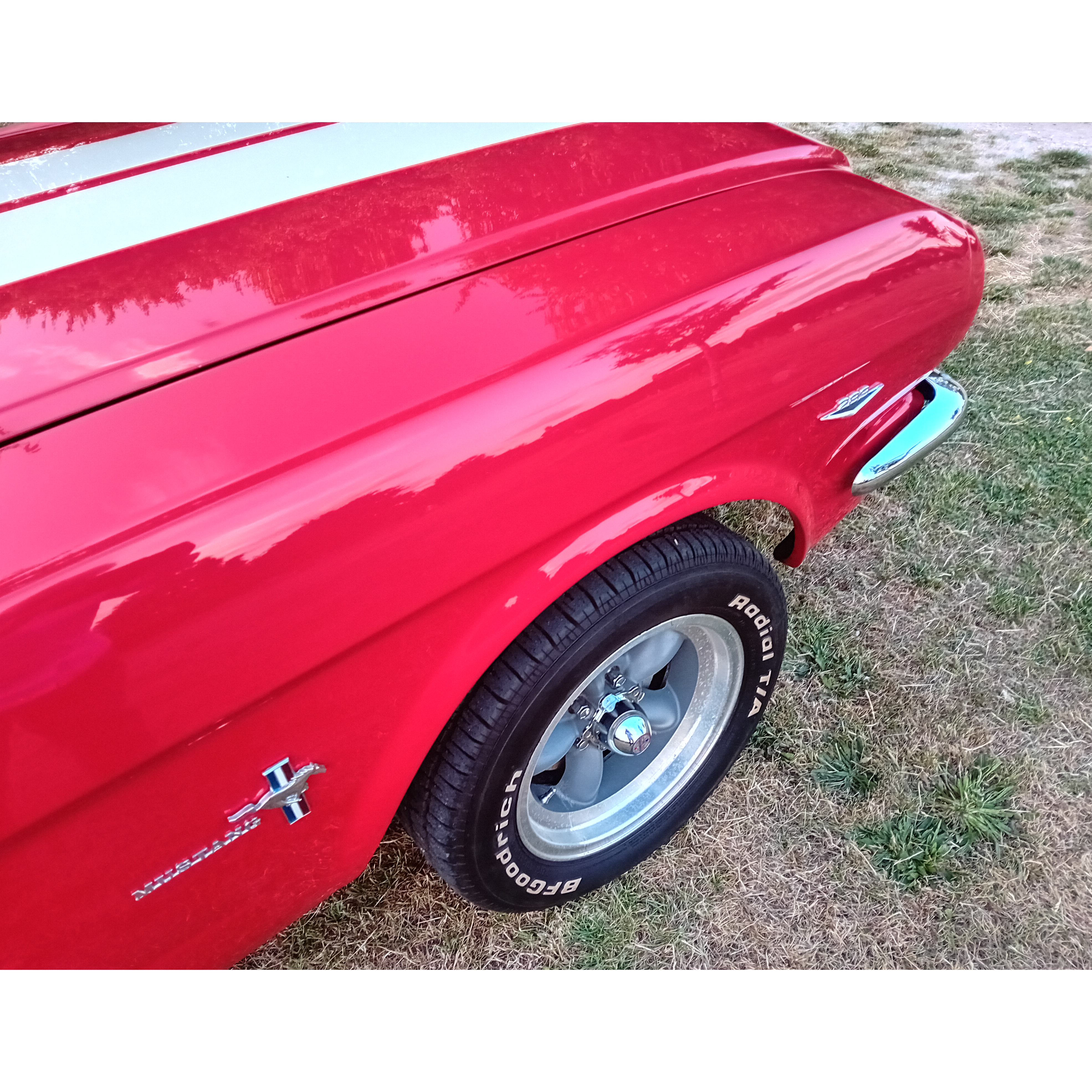 mustang 5