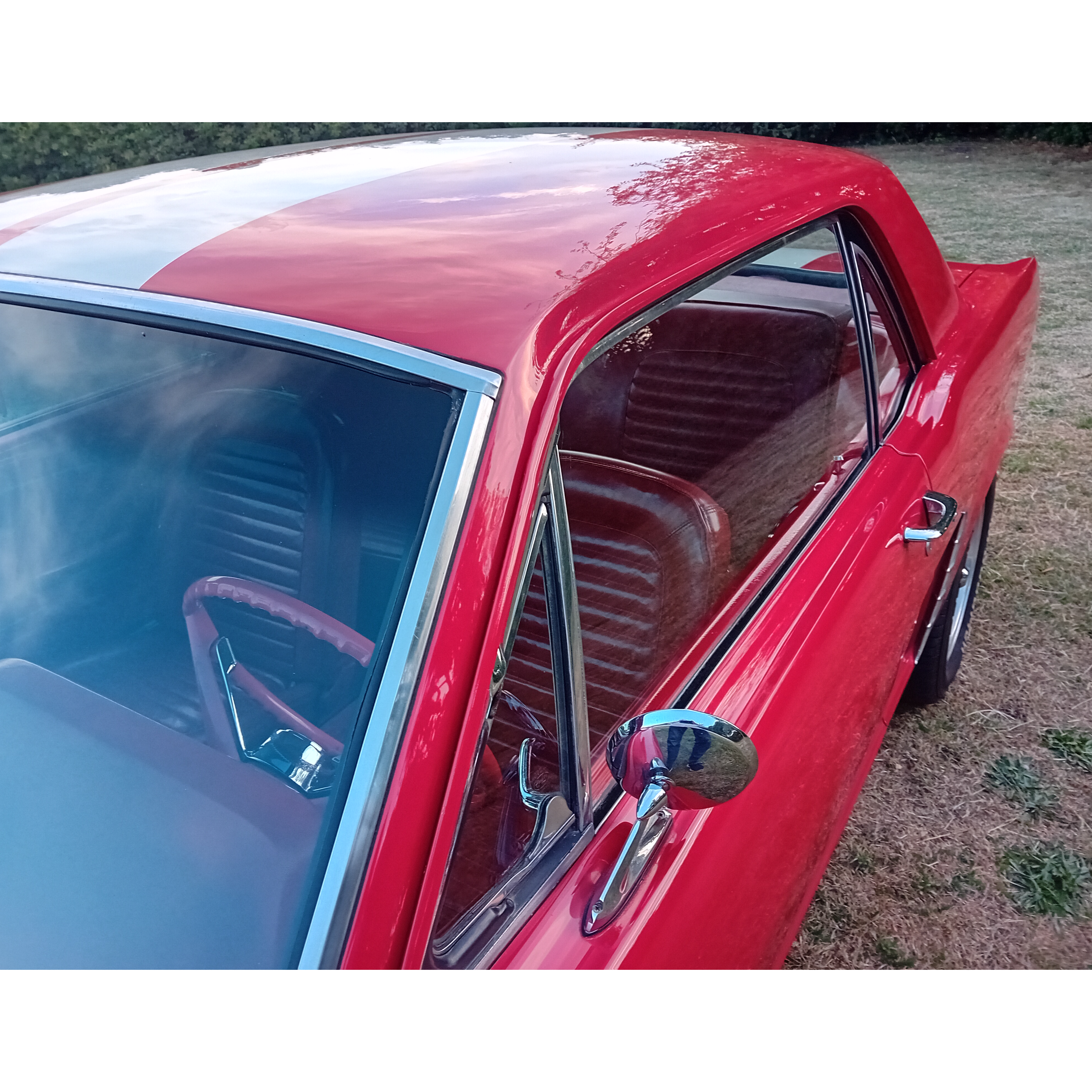 mustang 7