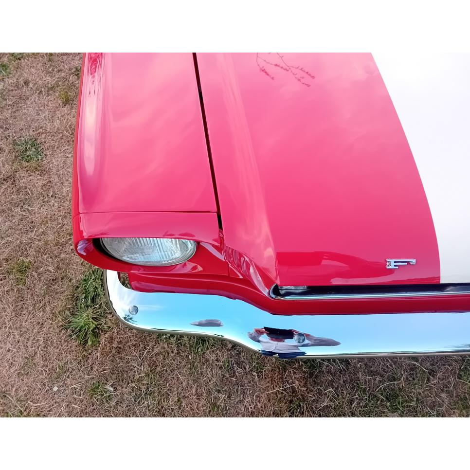 mustang 7